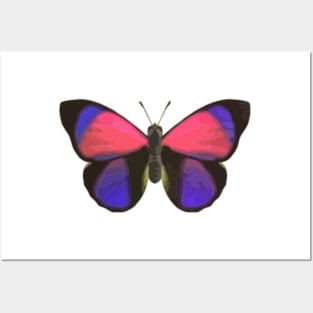 Claudina Butterfly Digital Painting Posters and Art